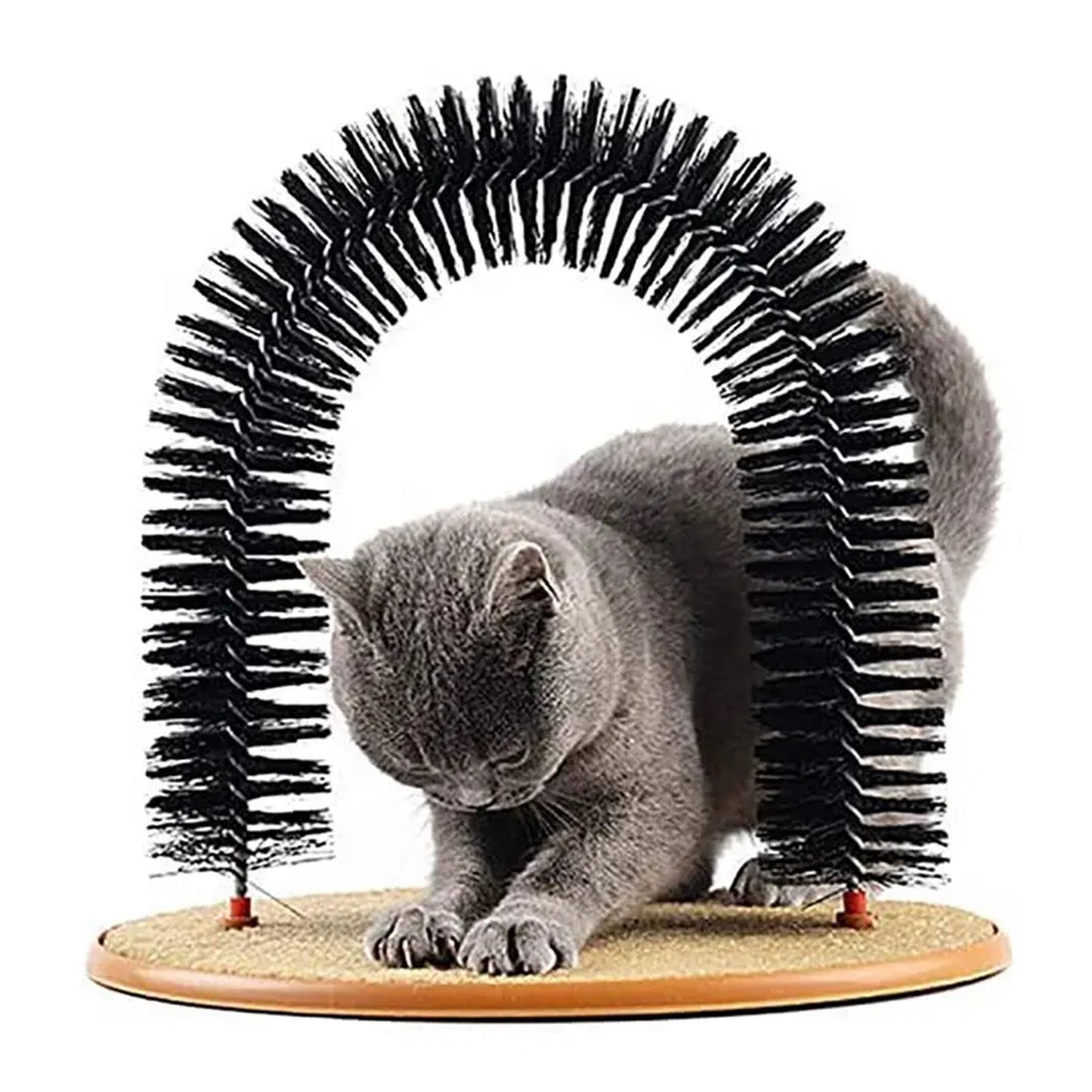 Arco Rascador para Gatos